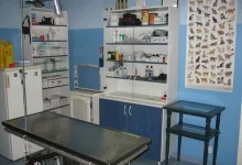 Veterinarul Clinica Veterinara Botond Doki