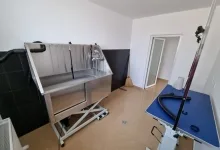 Veterinarul Clinica Veterinara DondorVet