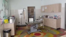 Veterinarul Clinica Veterinara Minivet