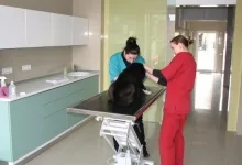 Veterinarul Clinica Veterinara Radauti