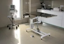 Veterinarul Clinica Veterinara Radauti