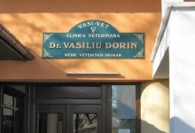 Veterinarul Clinica Veterinara Vasi Vet