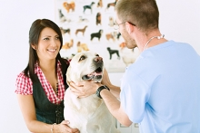 Veterinarul Cabinet veterinar Curtea de Arges