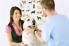 Veterinarul Cabinet veterinar Curtea de Arges