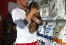 Veterinarul Cabinet Veterinar Snagov