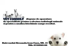 Veterinarul Cabinet Veterinar Braila