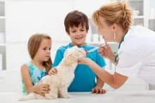 Veterinarul Veterinar Drobeta Turnu Severin