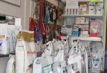 Veterinarul Cabinet Veterinar Buftea