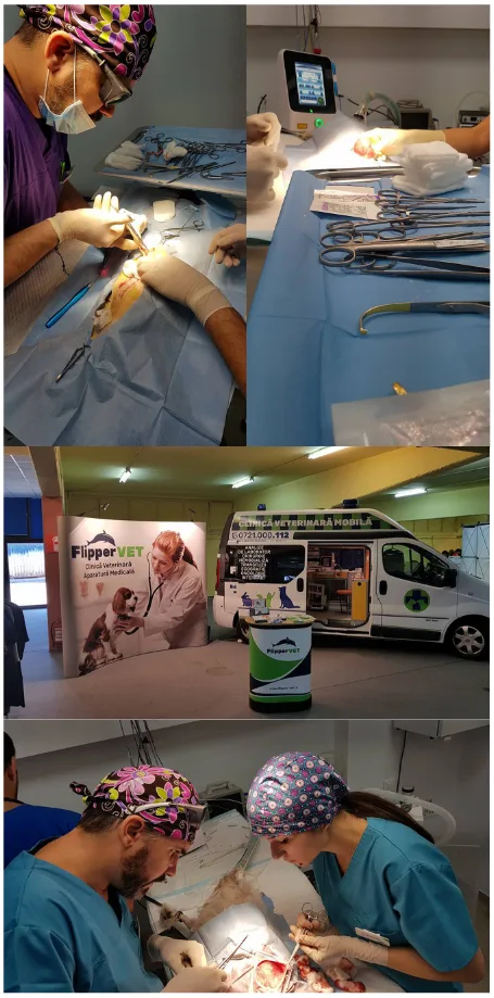 cabinet veterinar mogosoaia