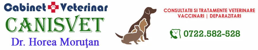 cabinet_veterinar_alba_iulia