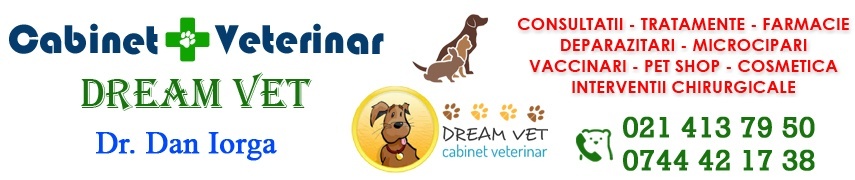 cabinet_veterinar_ghencea sector 6