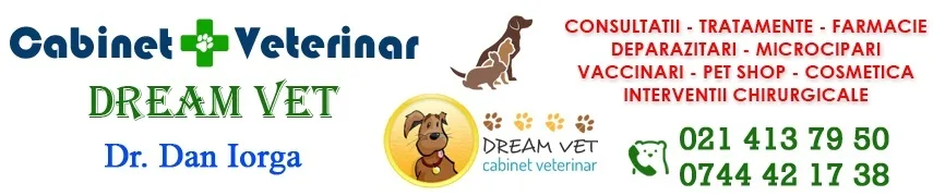 cabinet_veterinar_ghencea sector 6