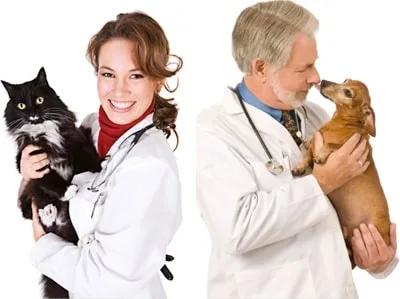 Clinici veterinare Clinici veterinare