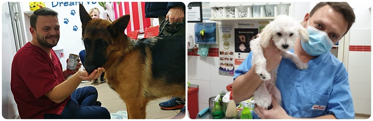 consultatii_farmacie_pet_shop_veterinar sector 6
