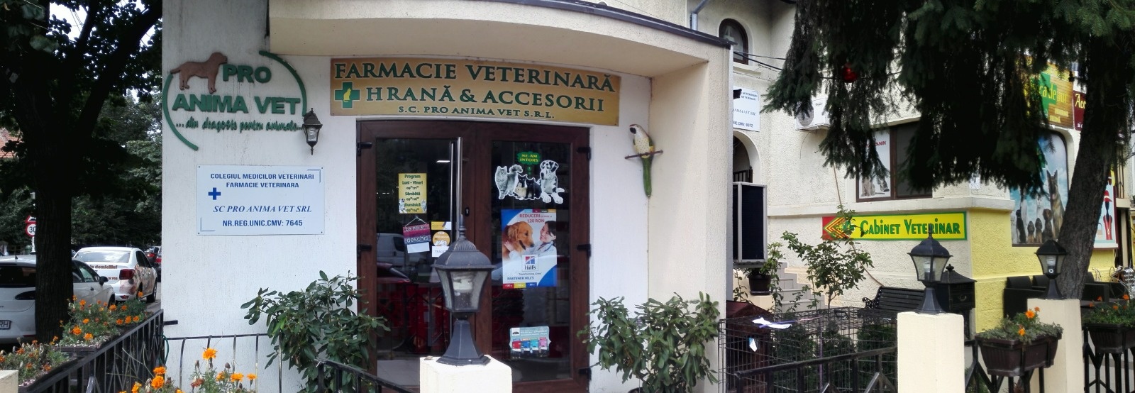 cabinet veterinar pensiune canina si felina sector 1