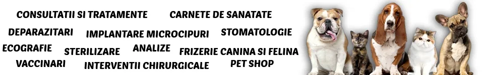 consultatii veterinare buzau consultatii veterinare buzau