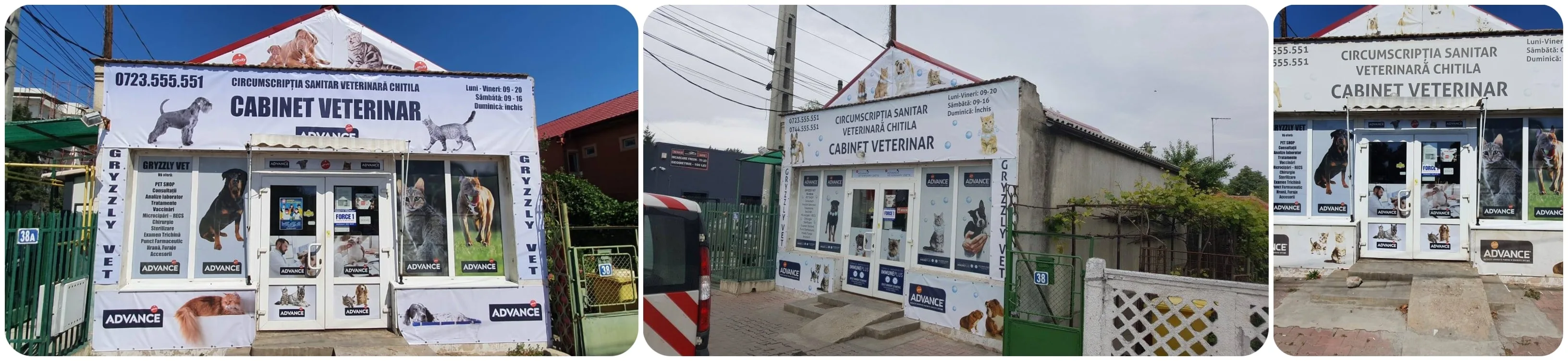 medic veterinar chitila