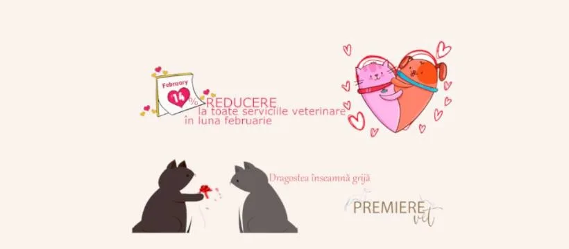 reducere-cabinet-veterinar-oradea reducere-cabinet-veterinar-oradea