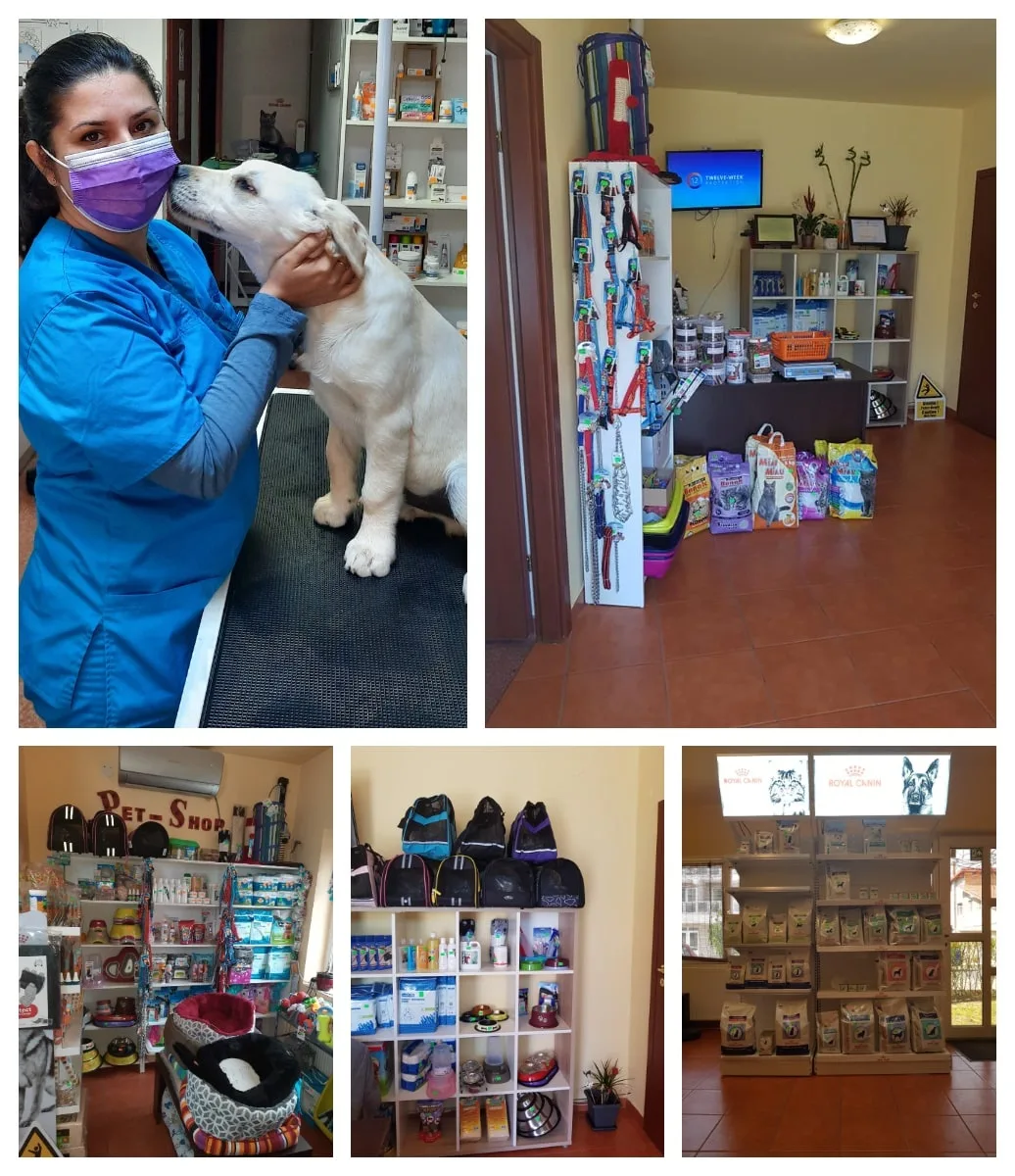 veterinar-arad veterinar-arad