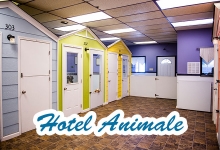 Hotel Animale