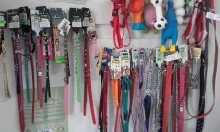 Veterinarul Petshop Cutzunici si Miaunici