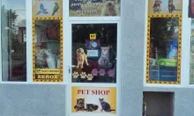 Veterinarul Petshop Cutzunici si Miaunici