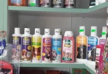 Veterinarul Petshop Cutzunici si Miaunici