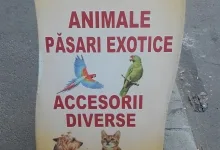 Veterinarul Petshop Cutzunici si Miaunici