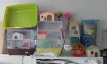 Veterinarul Petshop Cutzunici si Miaunici