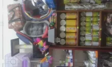 Veterinarul Farmacie veterinara Ikepet