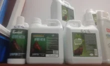 Veterinarul Farmacie veterinara Ikepet