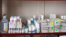 Veterinarul Farmacie veterinara Ikepet