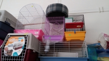 Veterinarul Farmacie veterinara Ikepet