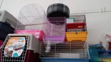 Veterinarul Farmacie veterinara Ikepet