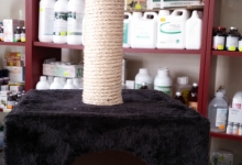 Veterinarul Farmacie veterinara Ikepet