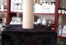 Veterinarul Farmacie veterinara Ikepet