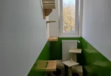 Veterinarul Hotel Canin Targovite-Bucuresti - Pro Anima Vet