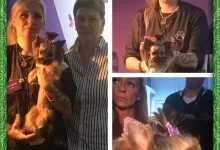 Veterinarul Frizerie Canina Sheeba - Bucuresti Sector 5