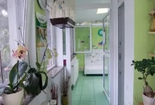 Veterinarul Pensiune Canina si Felina Bucuresti Sector 1 - PRO ANIMA VET