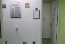 Veterinarul Pensiune Canina si Felina Bucuresti Sector 1 - PRO ANIMA VET