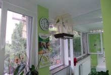 Veterinarul Pensiune Canina si Felina - PRO ANIMA VET