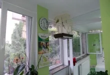 Veterinarul Pensiune Canina si Felina Bucuresti Sector 1 - PRO ANIMA VET