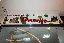 Veterinarul Pet Shop Piranya Atrium
