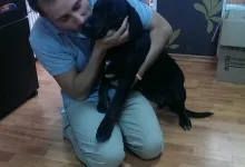 Veterinarul Frizerie-Coafura Animale  - Oradea