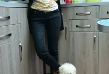 Veterinarul Frizerie-Coafura Animale  - Oradea