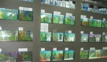 Veterinarul Zoo Hobby